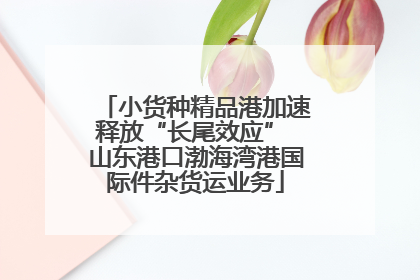 小货种精品港加速释放“长尾效应” 山东港口渤海湾港国际件杂货运业务