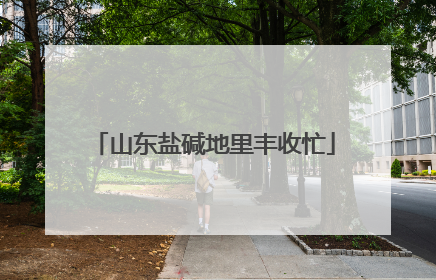 山东盐碱地里丰收忙