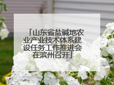 山东省盐碱地农业产业技术体系建设任务工作推进会在滨州召开