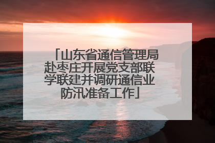 山东省通信管理局赴枣庄开展党支部联学联建并调研通信业防汛准备工作