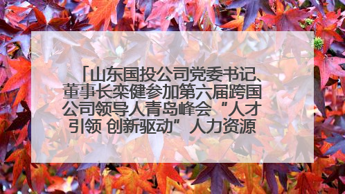 山东国投公司党委书记、董事长栾健参加第六届跨国公司领导人青岛峰会“人才引领 创新驱动”人力资源高质量发展对话会