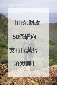 山东财政50条靶向支持民营经济发展
