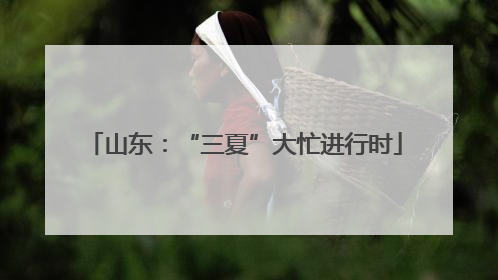 山东：“三夏”大忙进行时