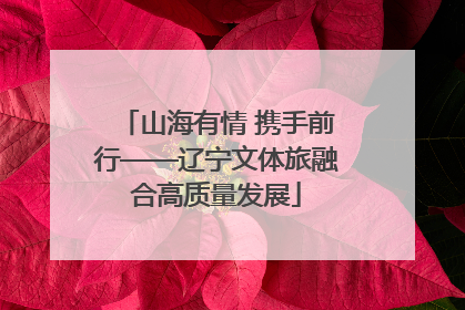 山海有情 携手前行——辽宁文体旅融合高质量发展