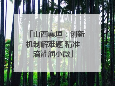 山西襄垣：创新机制解难题 精准滴灌润小微