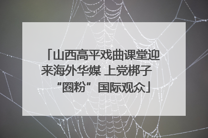 山西高平戏曲课堂迎来海外华媒 上党梆子“圈粉”国际观众