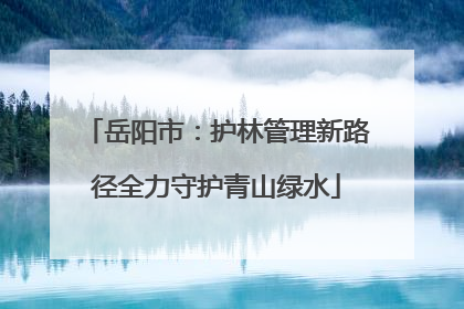 岳阳市：护林管理新路径全力守护青山绿水
