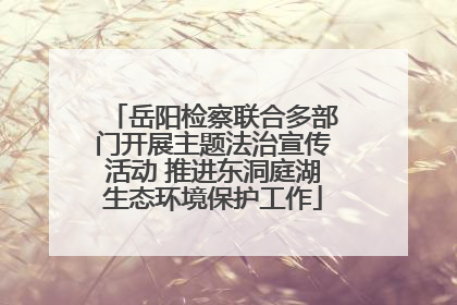 岳阳检察联合多部门开展主题法治宣传活动 推进东洞庭湖生态环境保护工作