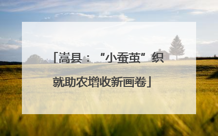 嵩县：“小蚕茧”织就助农增收新画卷