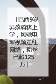 巴西9岁男孩骑猪上学，风驰电掣视频走红网络，粉丝已超125万