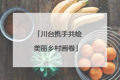 川台携手共绘美丽乡村画卷