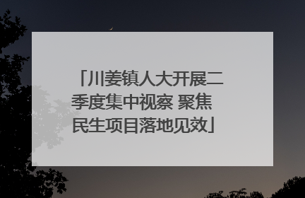川姜镇人大开展二季度集中视察 聚焦民生项目落地见效