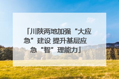 川陕两地加强“大应急”建设 提升基层应急“智”理能力