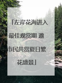 左岸花海进入最佳观赏期 邀市民共赏夏日繁花盛景