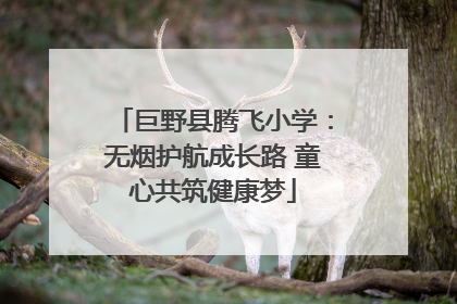 巨野县腾飞小学：无烟护航成长路 童心共筑健康梦