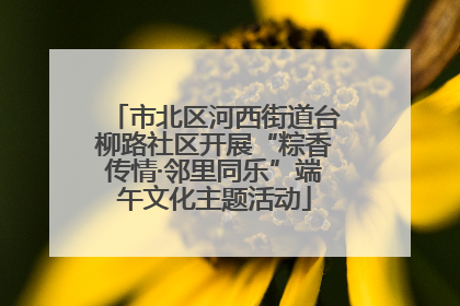 市北区河西街道台柳路社区开展“粽香传情·邻里同乐”端午文化主题活动