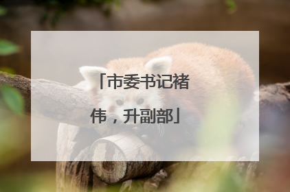 市委书记褚伟，升副部