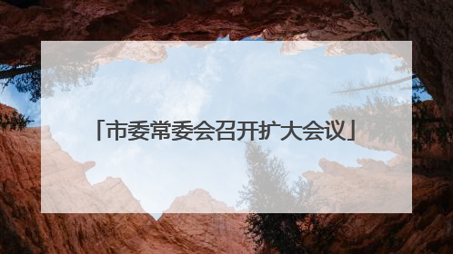 市委常委会召开扩大会议