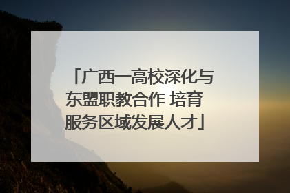 广西一高校深化与东盟职教合作 培育服务区域发展人才