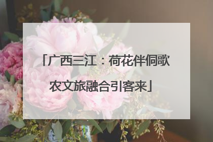 广西三江：荷花伴侗歌 农文旅融合引客来