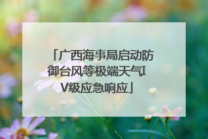 广西海事局启动防御台风等极端天气IV级应急响应