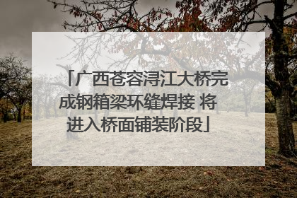 广西苍容浔江大桥完成钢箱梁环缝焊接 将进入桥面铺装阶段