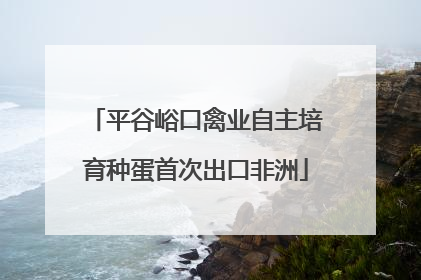 平谷峪口禽业自主培育种蛋首次出口非洲