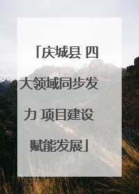 庆城县 四大领域同步发力 项目建设赋能发展