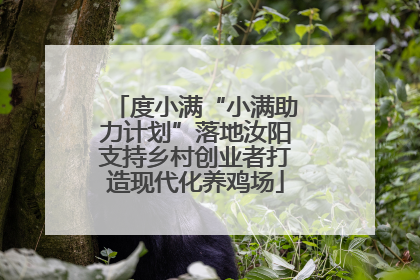 度小满“小满助力计划”落地汝阳支持乡村创业者打造现代化养鸡场