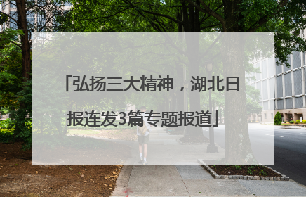 弘扬三大精神，湖北日报连发3篇专题报道