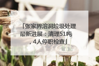 张家界溶洞垃圾处理最新进展：清理51吨，4人停职检查
