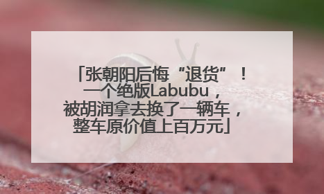 张朝阳后悔“退货”！一个绝版Labubu，被胡润拿去换了一辆车，整车原价值上百万元