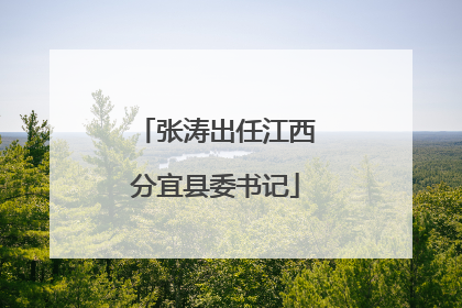 张涛出任江西分宜县委书记