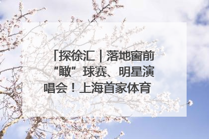 探徐汇｜落地窗前“瞰”球赛、明星演唱会！上海首家体育特色高端酒店亮相