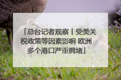总台记者观察丨受美关税政策等因素影响 欧洲多个港口严重拥堵