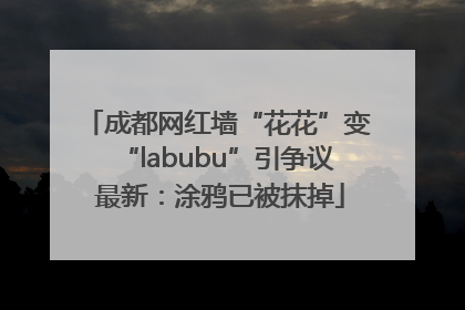 成都网红墙“花花”变“labubu”引争议 最新：涂鸦已被抹掉