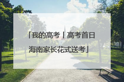我的高考丨高考首日 海南家长花式送考