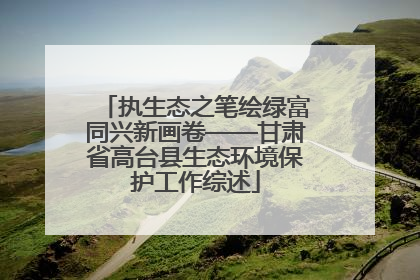 执生态之笔绘绿富同兴新画卷——甘肃省高台县生态环境保护工作综述