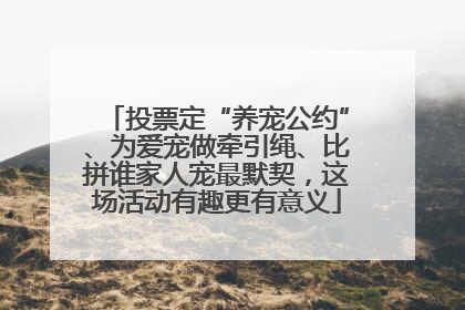 投票定“养宠公约”、为爱宠做牵引绳、比拼谁家人宠最默契，这场活动有趣更有意义