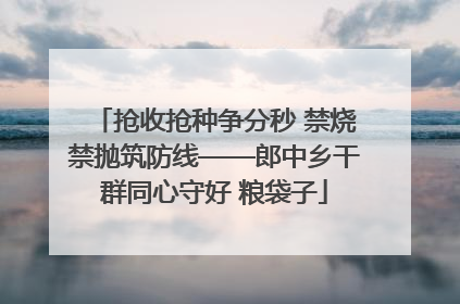 抢收抢种争分秒 禁烧禁抛筑防线——郎中乡干群同心守好 粮袋子