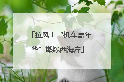 拉风！“机车嘉年华”燃爆西海岸