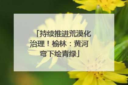 持续推进荒漠化治理！榆林：黄河弯下绘青绿