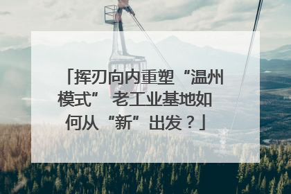 挥刃向内重塑“温州模式” 老工业基地如何从“新”出发？