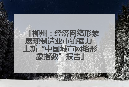柳州：经济网络形象展现制造业重镇强力 上新“中国城市网络形象指数”报告