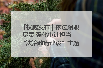 权威发布｜依法履职尽责 强化审计担当 “法治政府建设”主题系列新闻发布会市审计局专场召开