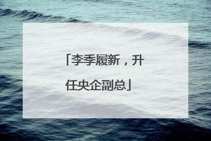 李季履新，升任央企副总