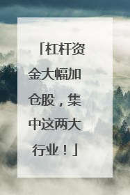 杠杆资金大幅加仓股，集中这两大行业！