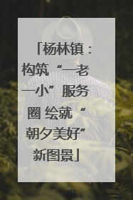 杨林镇：构筑“一老一小”服务圈 绘就“朝夕美好”新图景