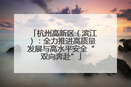 杭州高新区（滨江）：全力推进高质量发展与高水平安全“双向奔赴”
