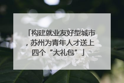 构建就业友好型城市，苏州为青年人才送上四个“大礼包”